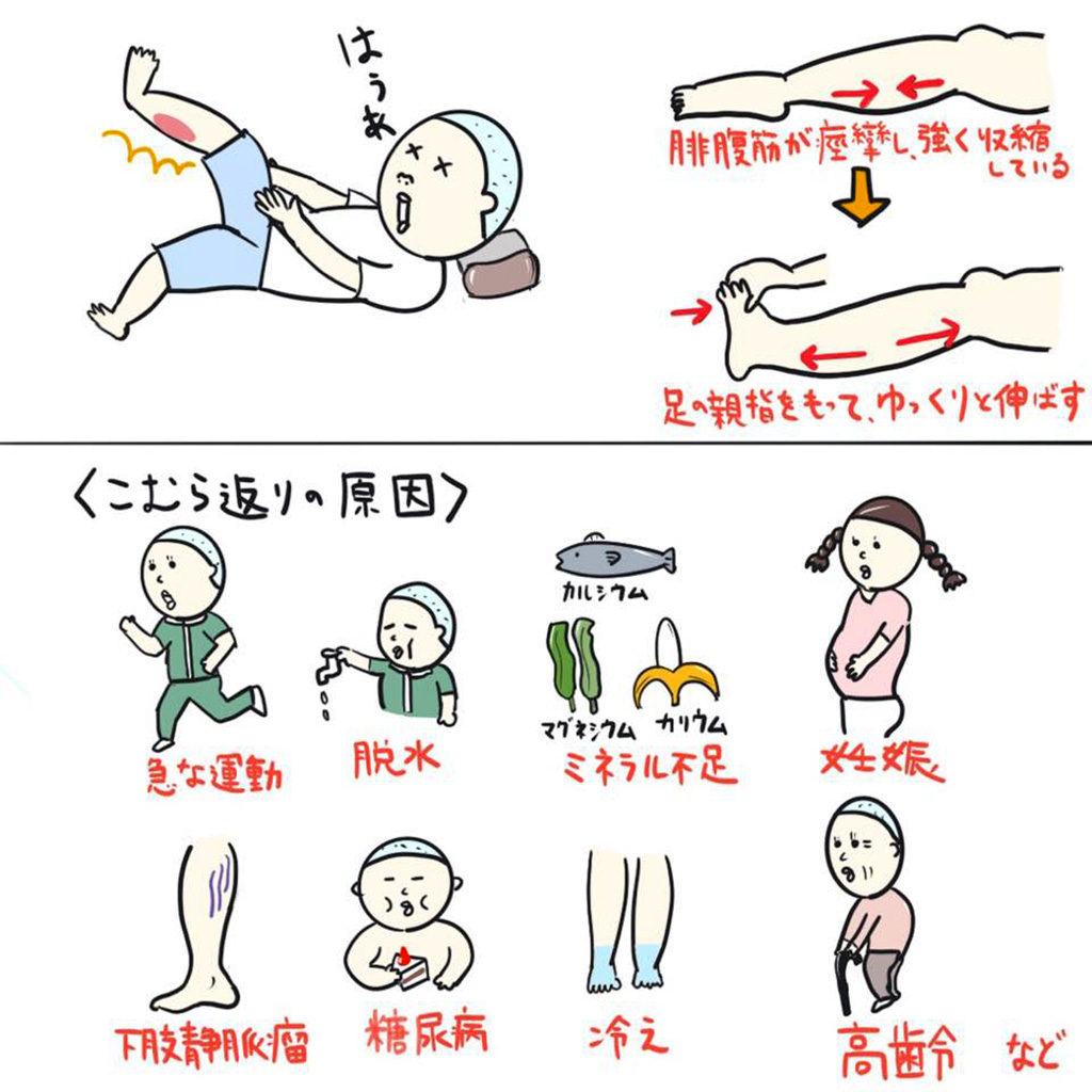 トマト薬局薬剤師のひとりごと⑥　こむらかえり